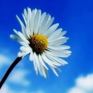 Meet your Posher, Ming